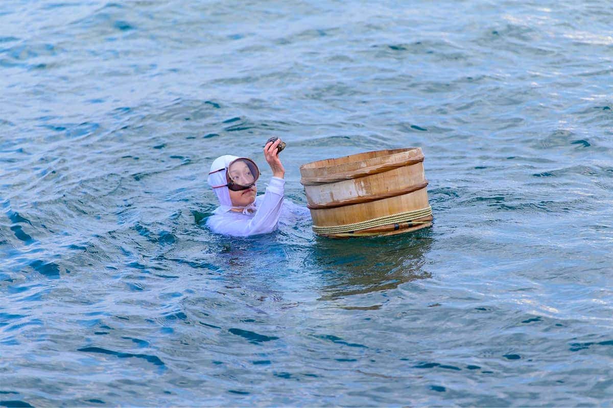 (写真) ミキモト真珠島 5