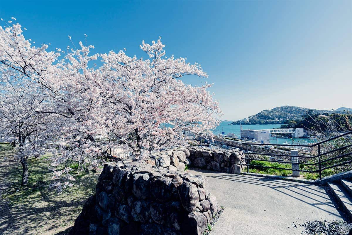 (写真) 城山公園（鳥羽城跡） 3