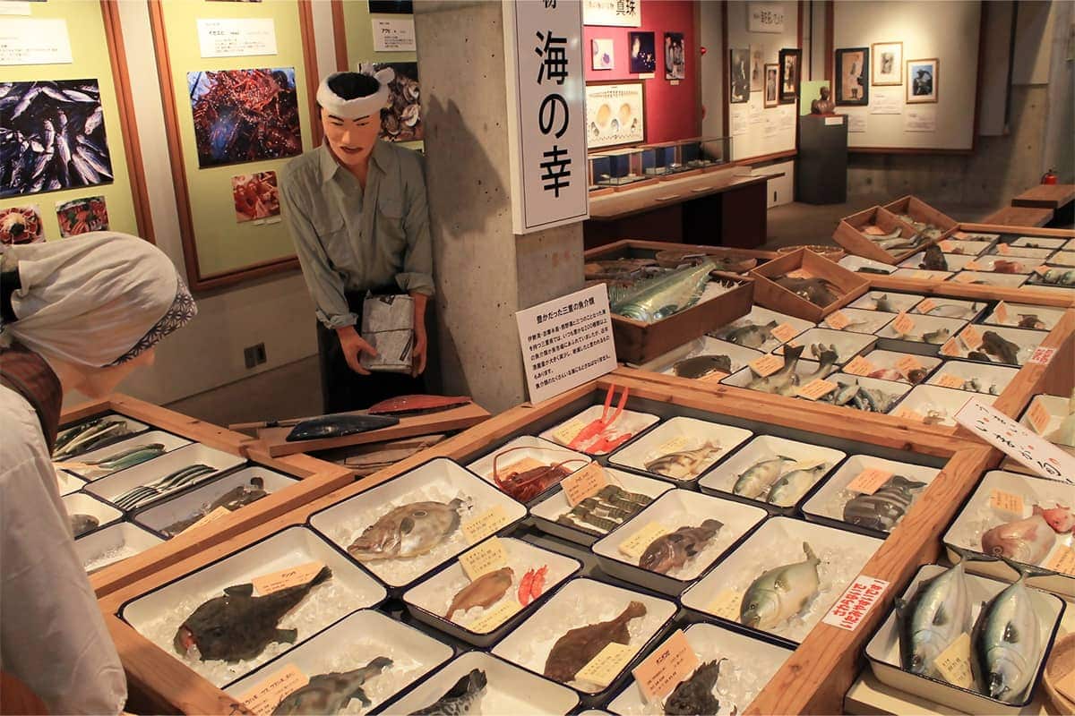 (写真) 海の博物館 3