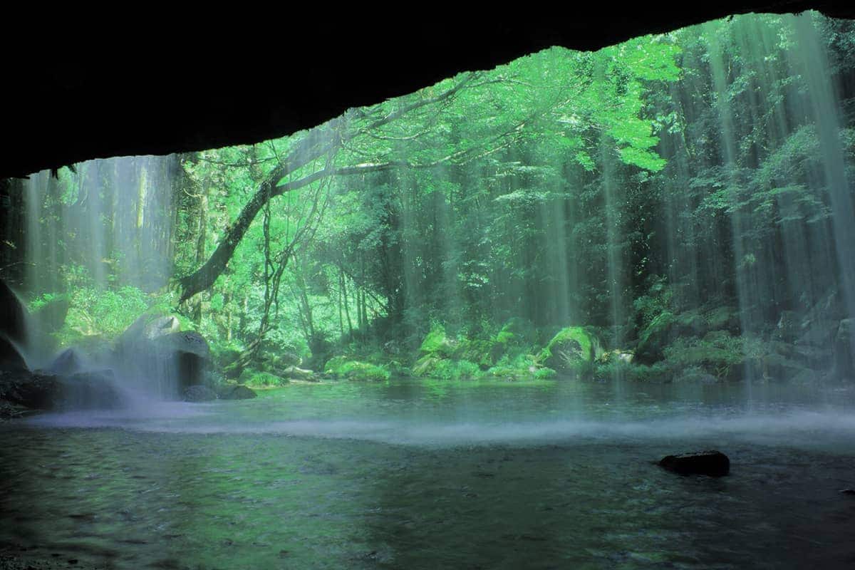 (写真) 鍋ヶ滝公園 4