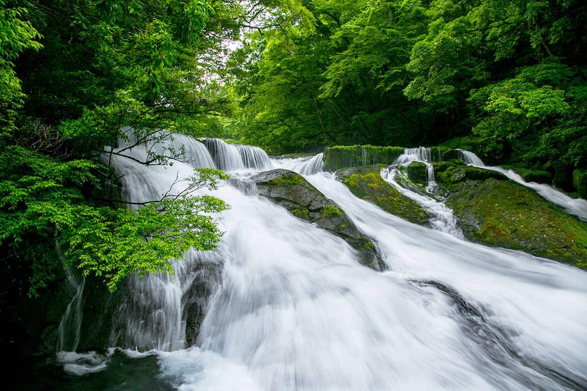 (写真) 菊池渓谷 3