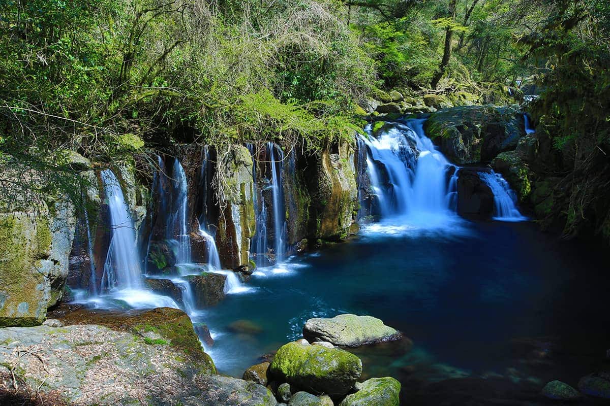 (写真) 菊池渓谷 4