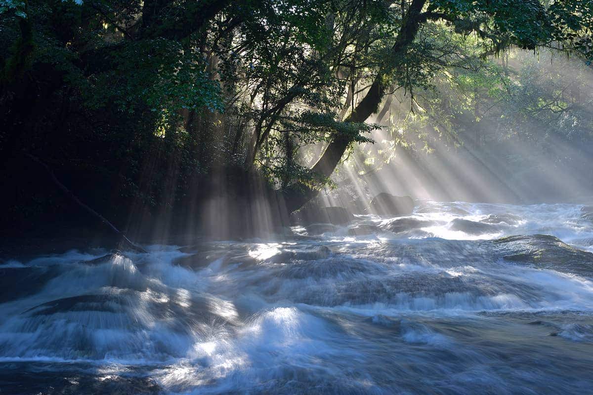 (写真) 菊池渓谷 5