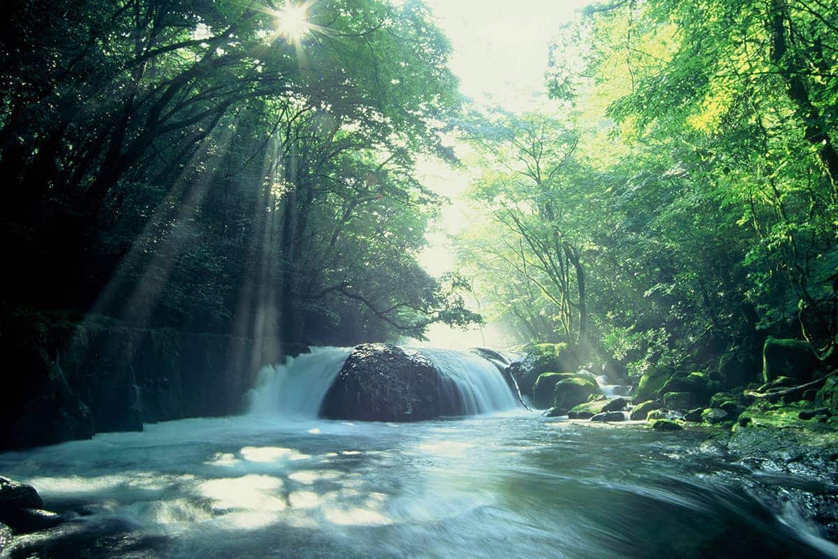 (写真) 菊池渓谷 6