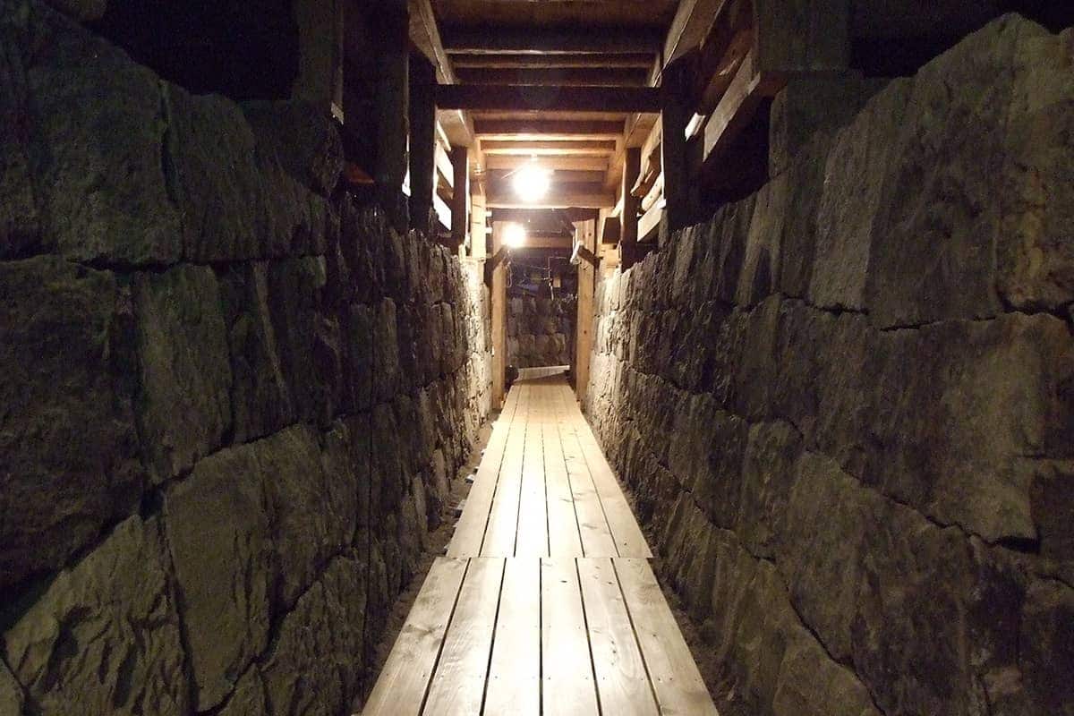 (写真) 国指定重要文化財　八千代座 5