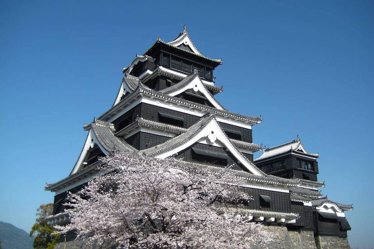 (写真) 熊本城 2