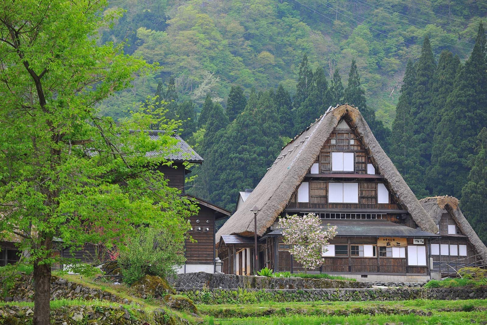 (photo) Gokayama 3