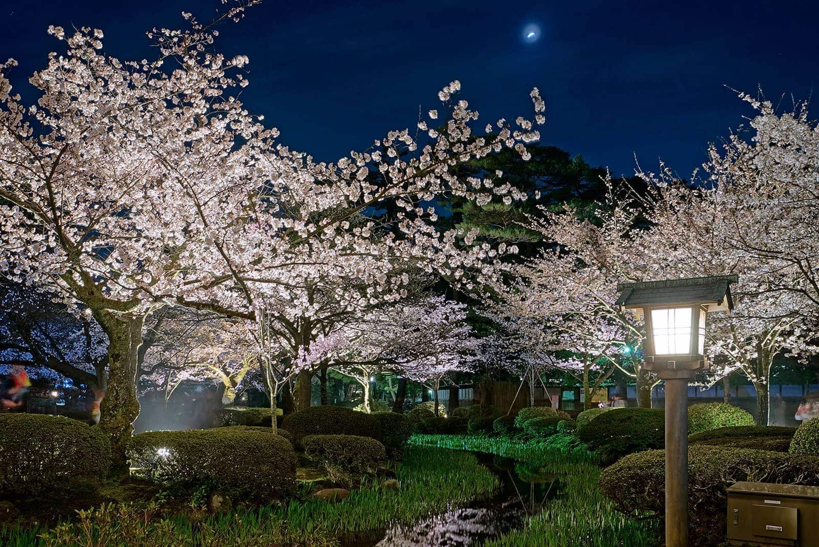 (photo) Kenroku-en 6