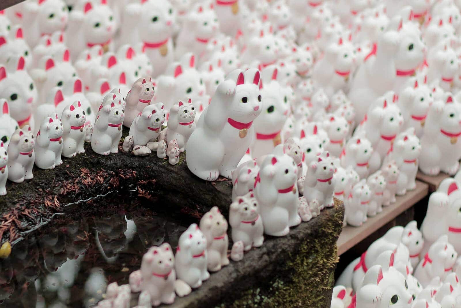 (photo) Goutoku-ji Temple 3