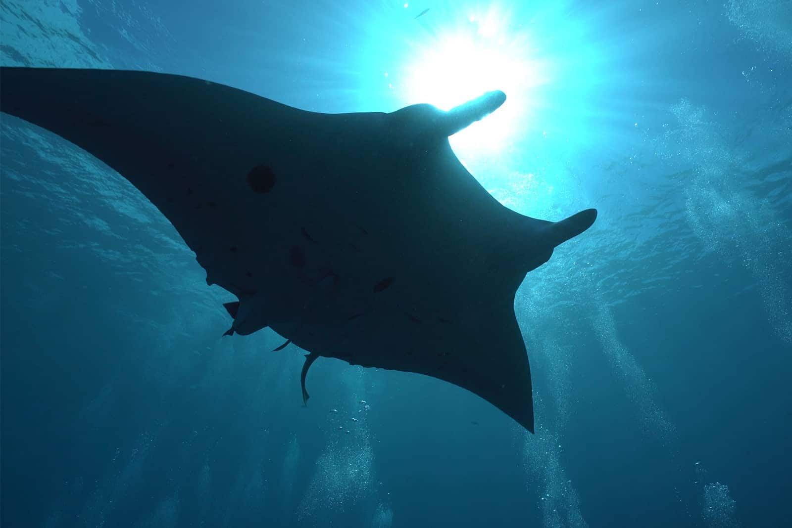 (photo) Kabira Bay 1