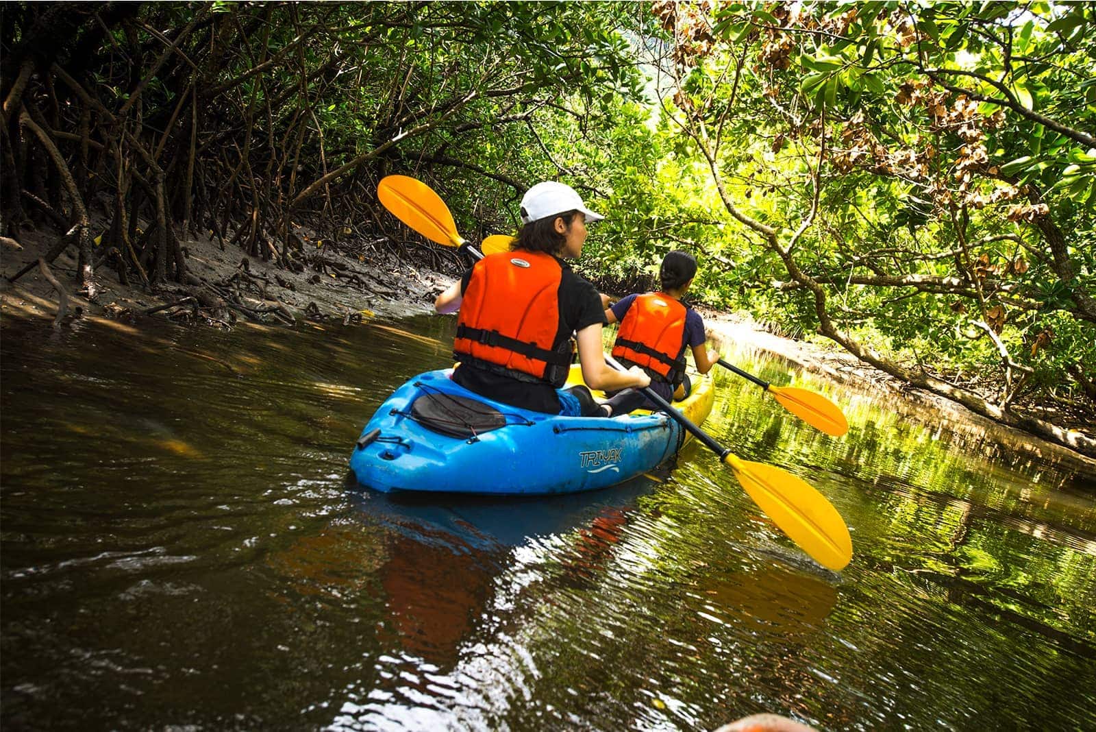 (photo) Nakama River Mangrove Cruise 2