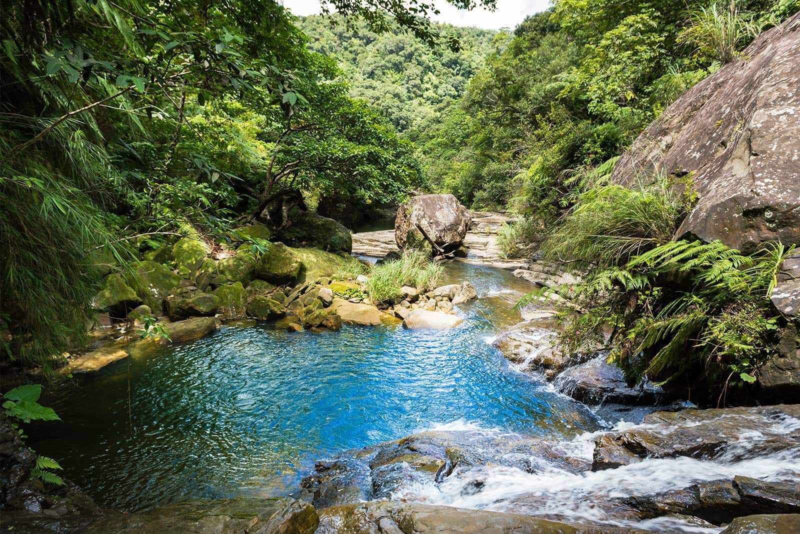 (photo) Nakama River Mangrove Cruise 3
