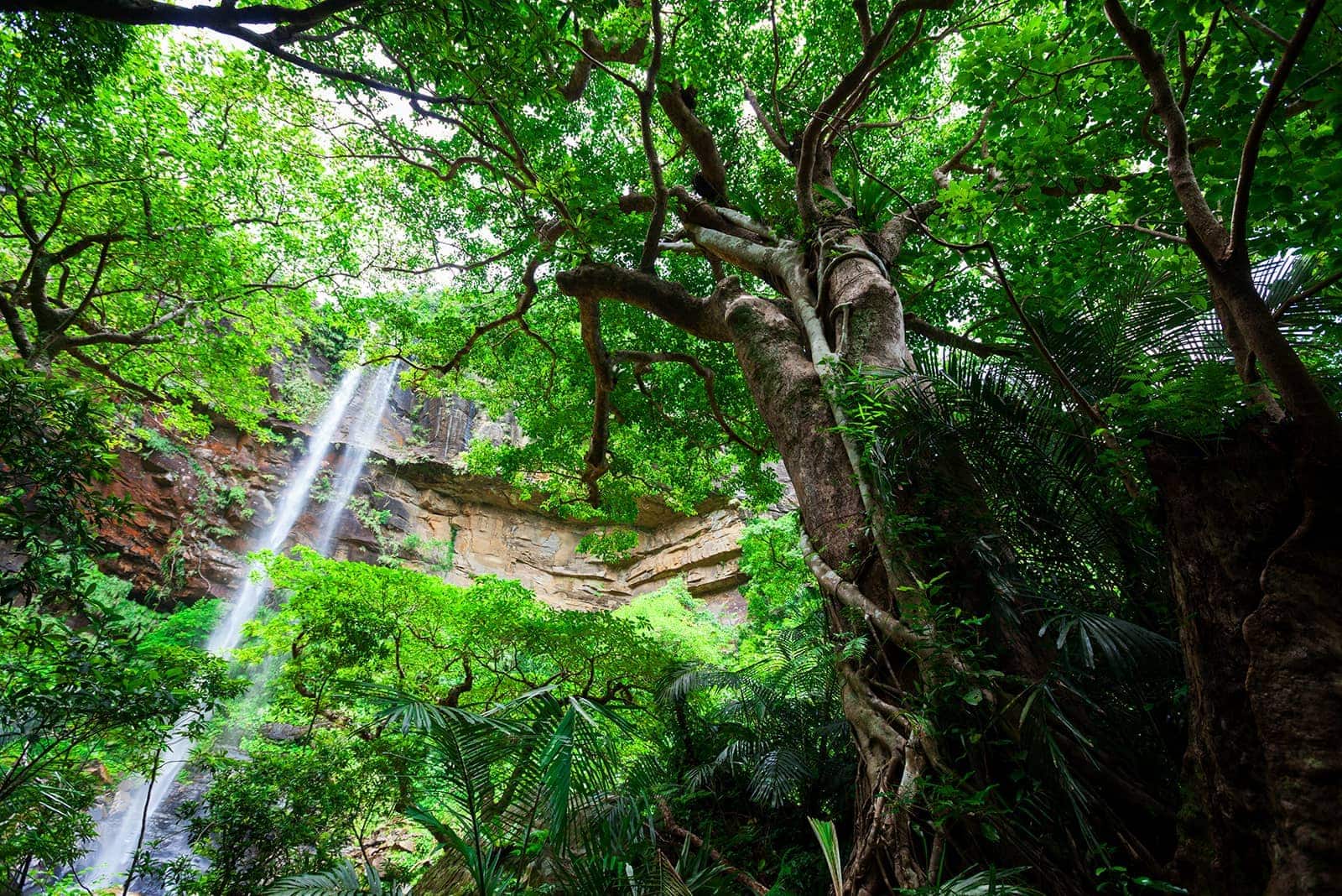 (photo) Pinaisara Falls 6