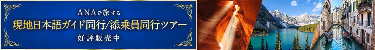ANAで旅する 現地日本語ガイド同行／添乗員同行ツアー 好評販売中