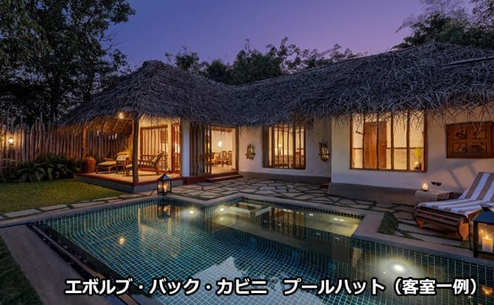 エボルブ・バック・カビニ　プールハット（客室一例）
