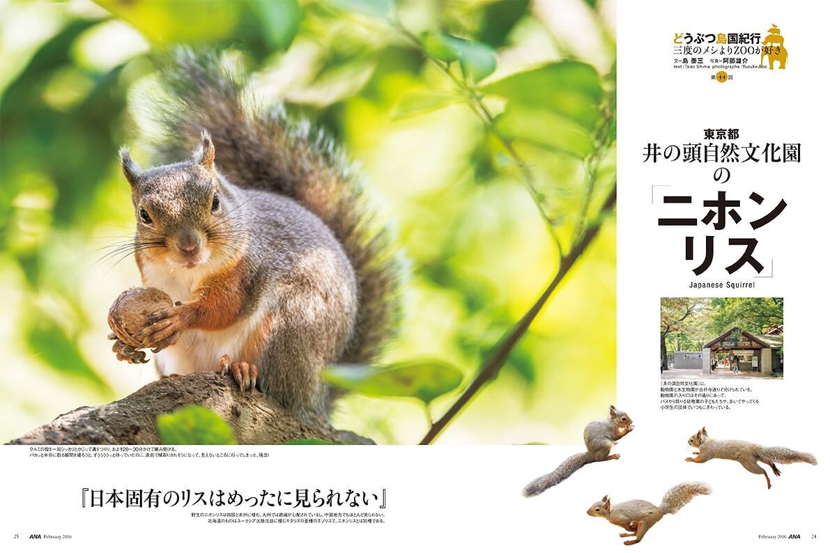 Ana Media Station Anaのcm 機内上映番組はこちらから 翼の王国 2月号 No 560 Ana Sky Web