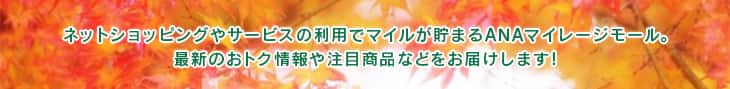 ネットショッピングやサービスの利用でマイルが貯まるANAマイレージモール。最新のおトク情報や注目商品などをお届けします！