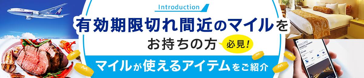 有効期限切れ間近のマイルをお持ちの方必見！マイルが使えるアイテムをご紹介