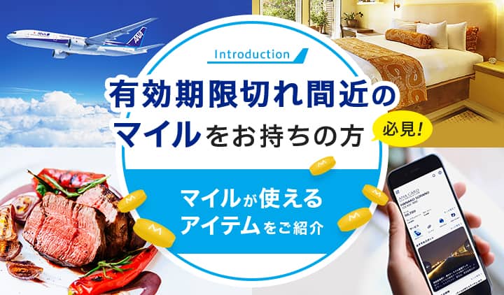 有効期限切れ間近のマイルをお持ちの方必見！マイルが使えるアイテムをご紹介