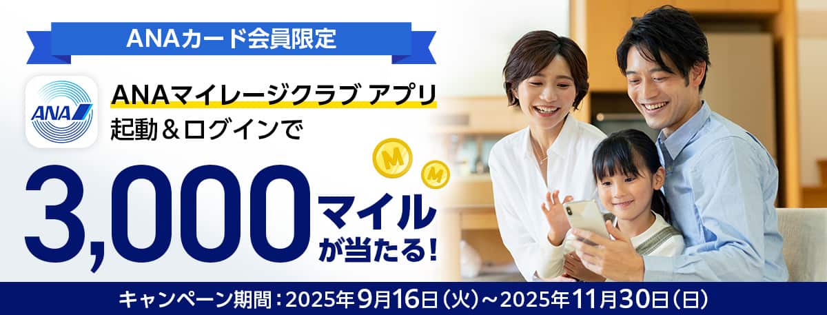 ⭐︎hyyp⭐︎さん専用 ANAカード会員限定 ANAマイレージクラブ アプリご利用キャンペーン|ANA
