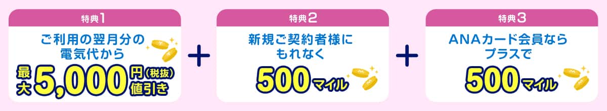 特典1：ご利用の翌月分の電気代から最大5,000円（税抜）値引き　特典2：新規ご契約者様にもれなく500マイル　特典3：ANAカード会員ならプラスで500マイル