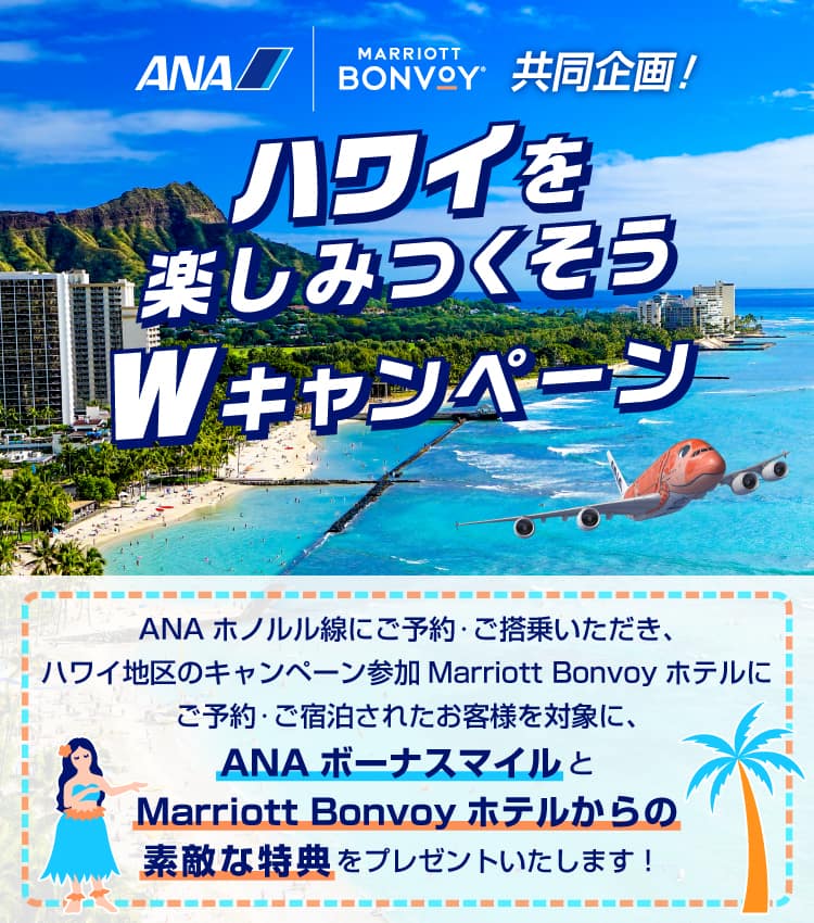 ANAスカイホリデー沖縄 キャンペーン 非売品オリジナルバック 大人の