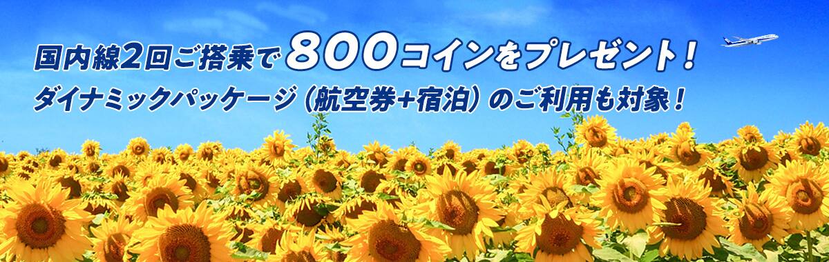 国内線2回ご搭乗で800コインをプレゼント！ダイナミックパッケージ（航空券+宿泊）のご利用も対象！