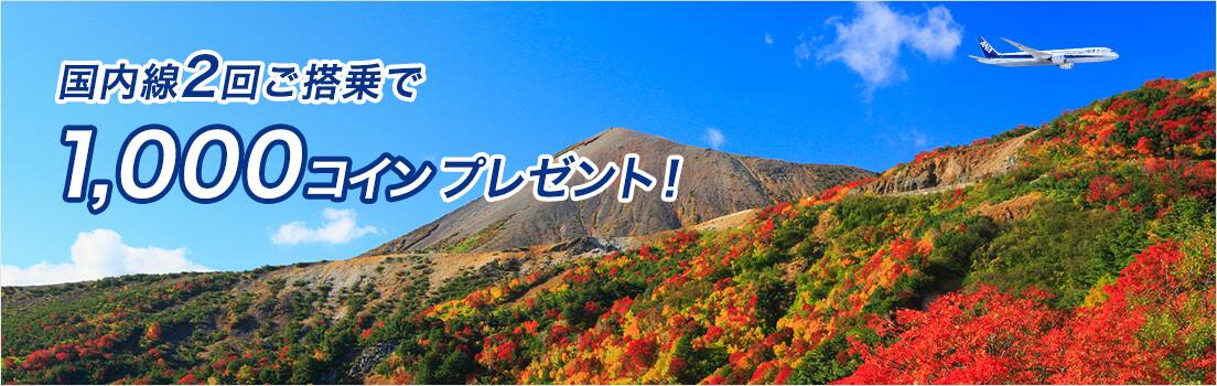 国内線2回ご搭乗で1,000コインプレゼント！