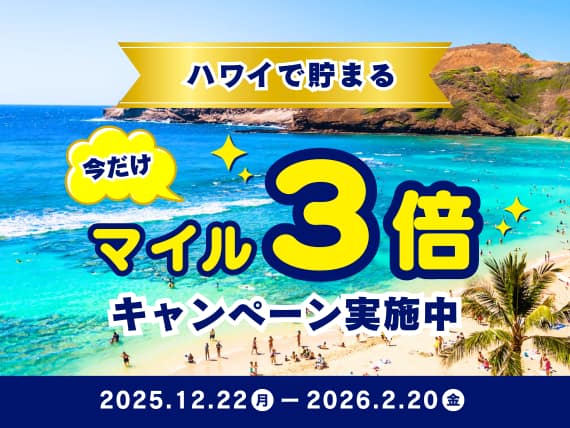 Myキャンペーン一覧|ANA