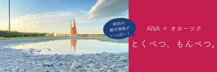 紋別の観光情報がいっぱい！ ANA×オホーツク とくべつ、もんべつ。