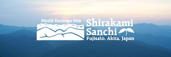 World Heritage Site Shirakami Sanchi Fujisato, Akita, Japan