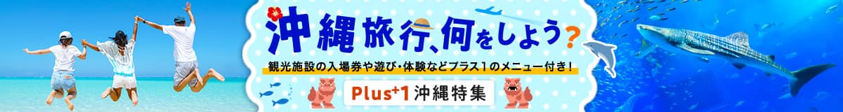 沖縄旅行、何をしよう？ 観光施設の入場券や遊び・体験などプラス1のメニュー付き！ plus1沖縄特集