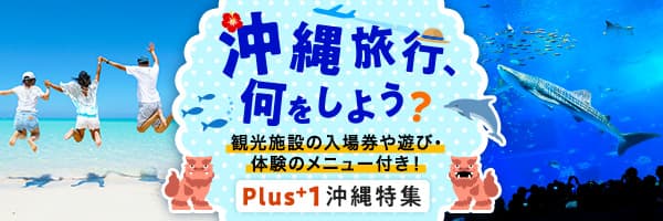 沖縄旅行、何をしよう？ 観光施設の入場券や遊び・体験などプラス1のメニュー付き！ plus1沖縄特集