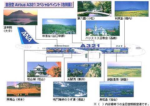 A321スペシャルペイント右側