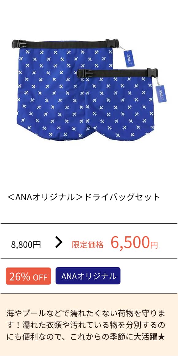 ＜ANAオリジナル＞ドライバッグセット