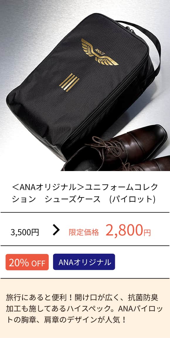 ＜ANAオリジナル＞ユニフォームコレクション　シューズケース　(パイロット)
