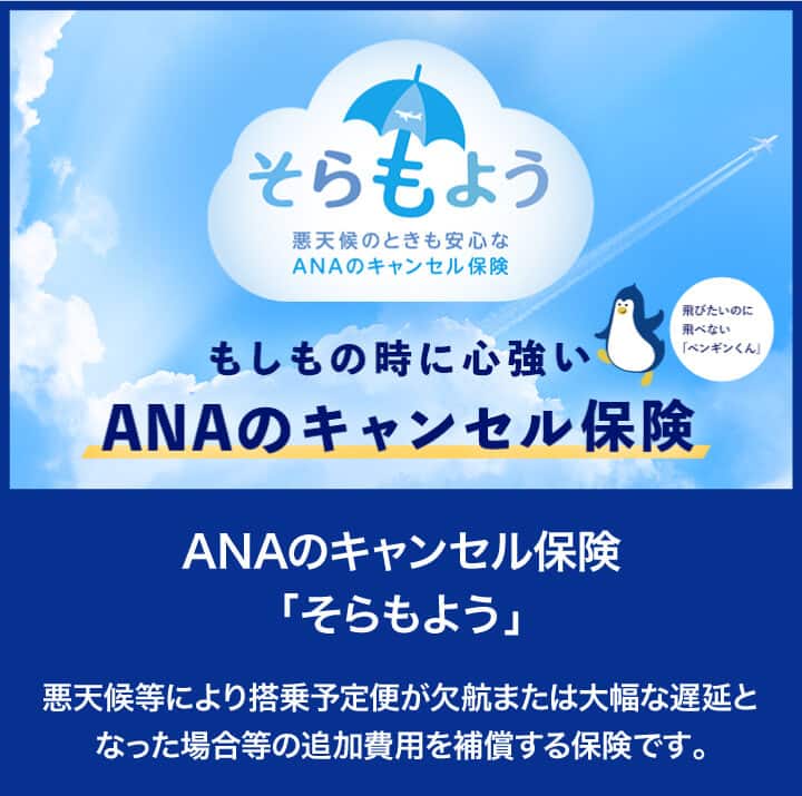 ANAのキャンセル保険「そらもよう」悪天候等により搭乗予定便が欠航または大幅な遅延となった場合等の追加費用を補償する保険です。