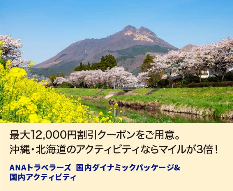 最大12,000円割引クーポンをご用意。沖縄・北海道のアクティビティならマイルが3倍！ ANAトラベラーズ 国内ダイナミックパッケージ＆国内アクティビティ