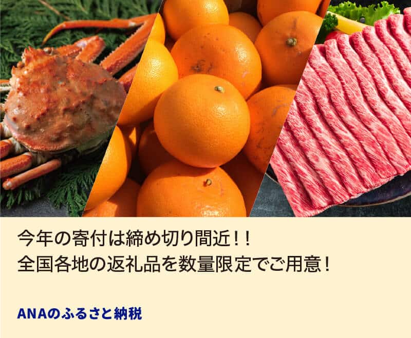 今年の寄付は締め切り間近！！全国各地の返礼品を数量限定でご用意！ ANAのふるさと納税