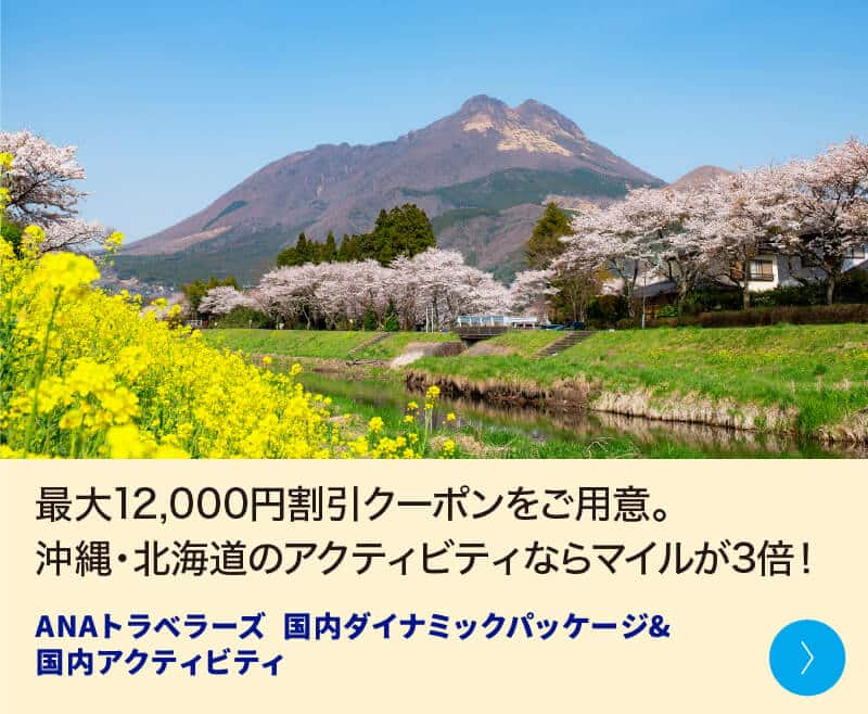 最大12,000円割引クーポンをご用意。沖縄・北海道のアクティビティならマイルが3倍！ ANAトラベラーズ 国内ダイナミックパッケージ＆国内アクティビティ