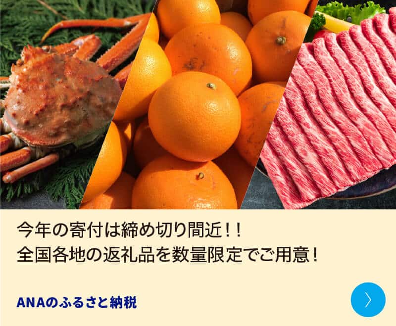 今年の寄付は締め切り間近！！全国各地の返礼品を数量限定でご用意！ ANAのふるさと納税