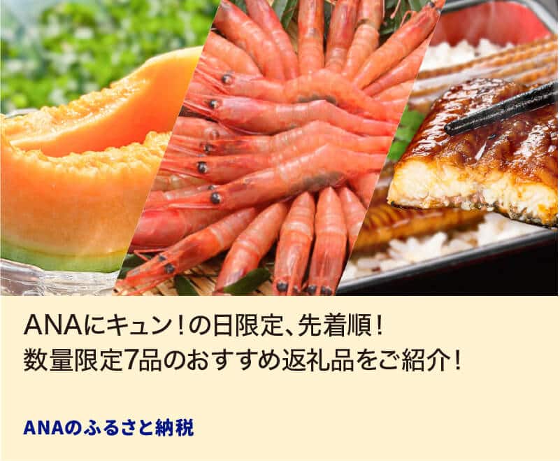 ANAにキュン！の日限定、先着順！数量限定7品のおすすめ返礼品をご紹介！ ANAのふるさと納税