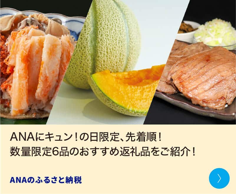 ANAにキュン！の日限定、先着順！数量限定6品のおすすめ返礼品をご紹介！ ANAのふるさと納税