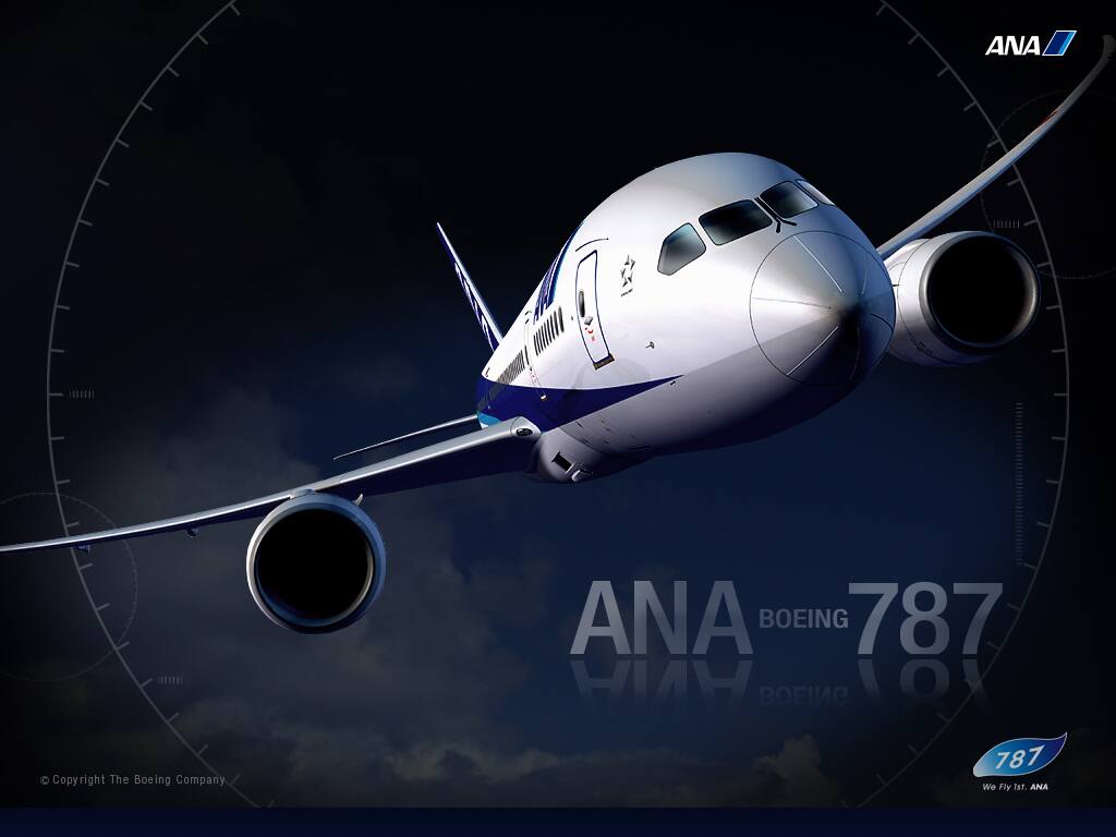 Special Ana ボーイング787 Ana Sky Web