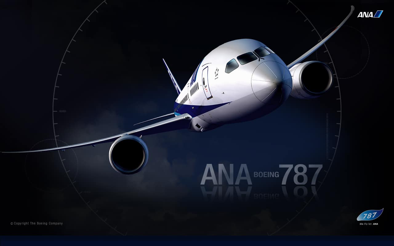 Special Ana ボーイング787 Ana Sky Web