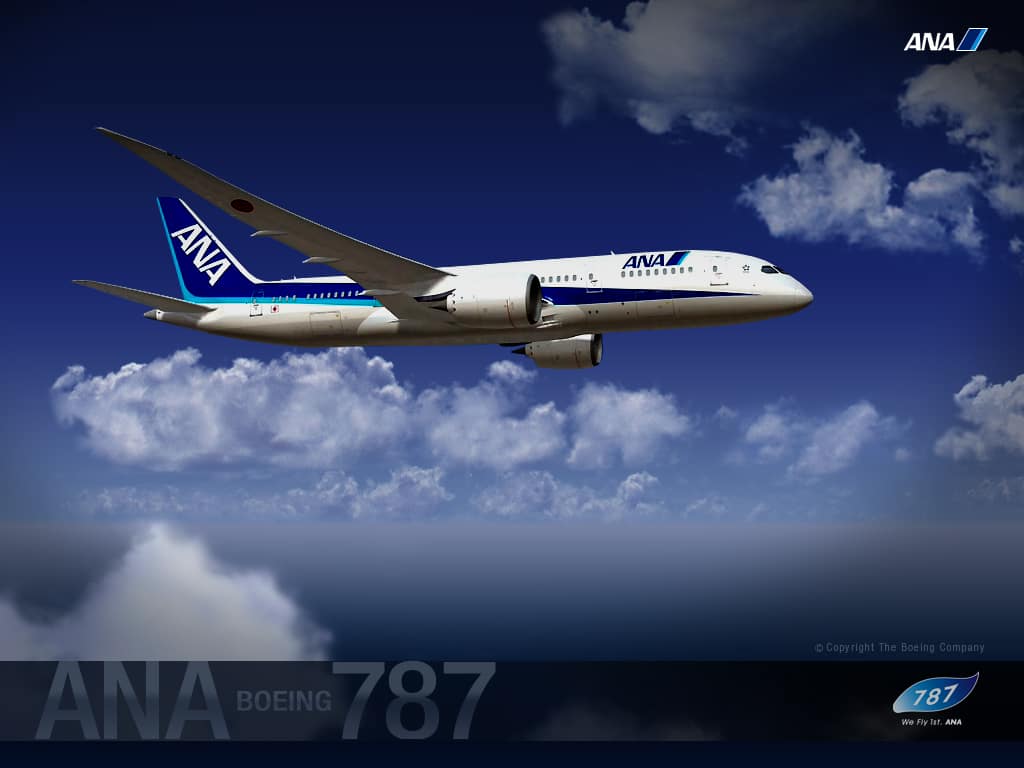 Special Ana ボーイング787 Ana Sky Web