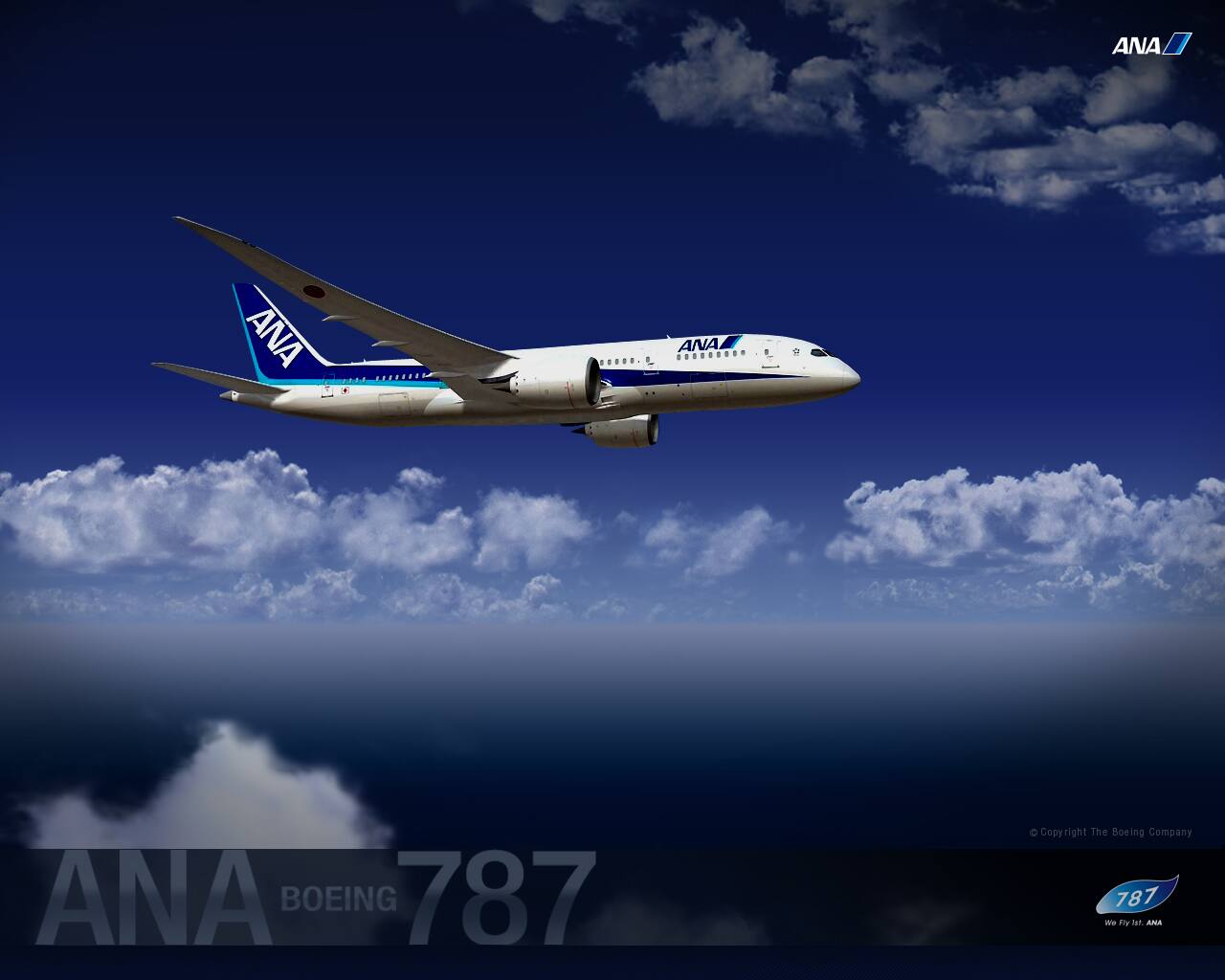 Special Ana Boeing 787 Ana Sky Web