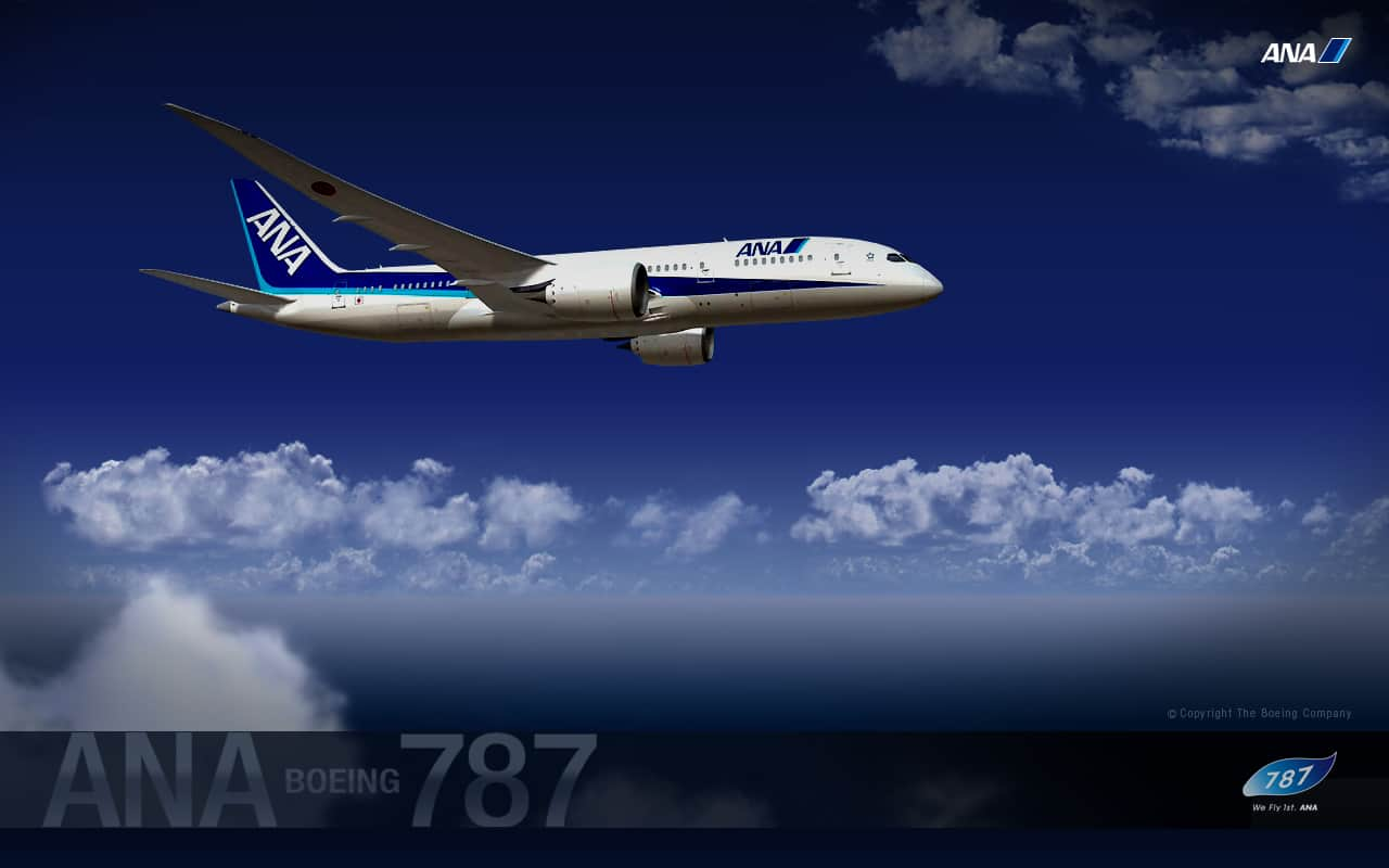 Special Ana Boeing 787 Ana Sky Web