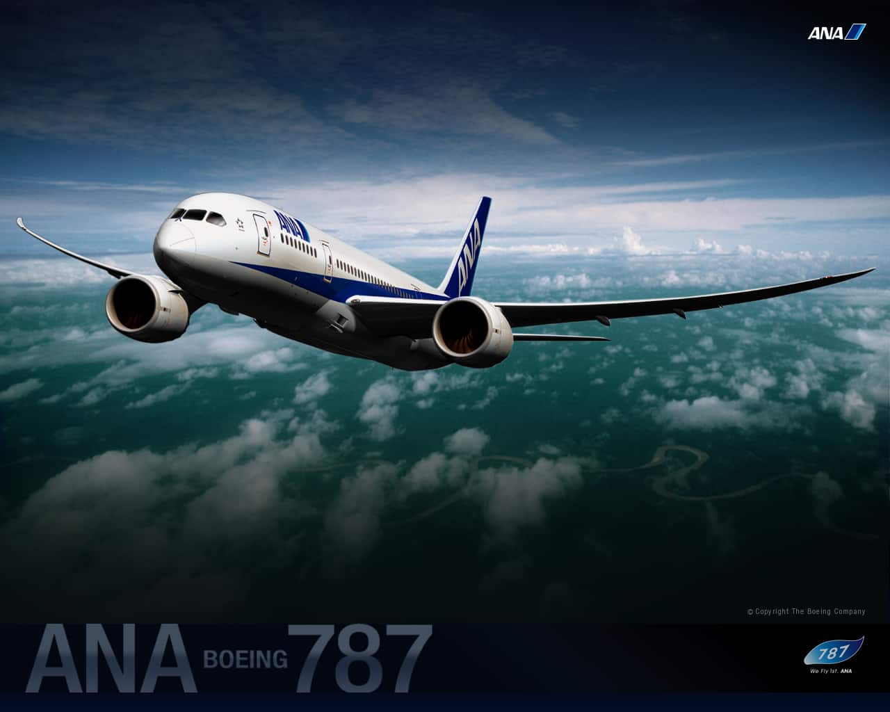 Special Ana ボーイング787 Ana Sky Web