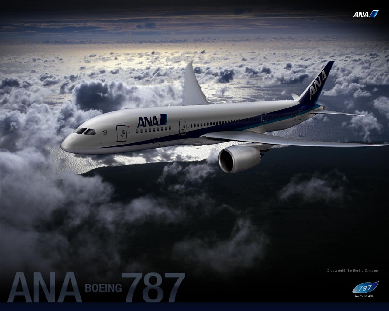 Special Ana Boeing 787 Ana Sky Web